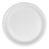 Assiettes en carton blanche 23 cm