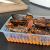 Barquettes plastiques de différentes tailles et formes pour emballer des aliments.