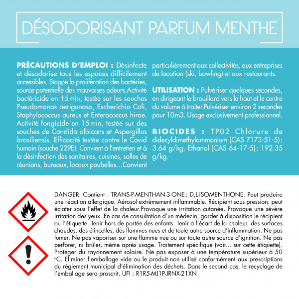 Assainisseur d'air parfum menthe bactéricide 750 ml - B50004.