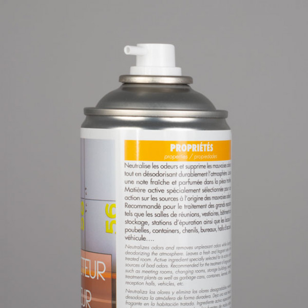 Désodorisant aérosol 750 mL fleurs blanches + désodorisant citron 375 mL.
