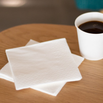 Serviette en papier ouate blanc 2 plis 20 x 20