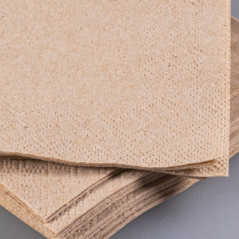 Serviette en papier ouate kraft 2 plis 20 x 20